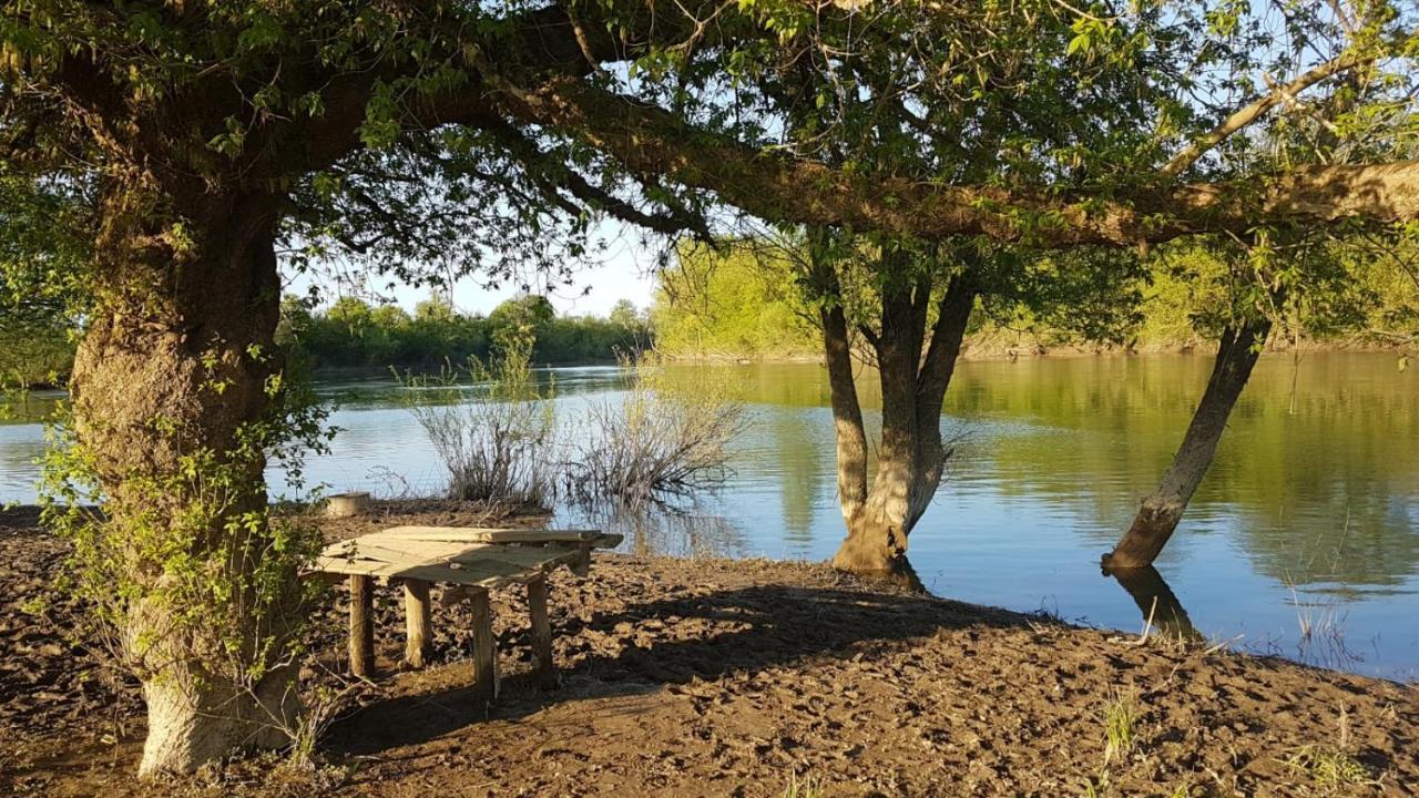 Guest House Studio Apartman Marina - With Jacuzzi, Free Parking, Pet Friendly Karlovac Exterior photo